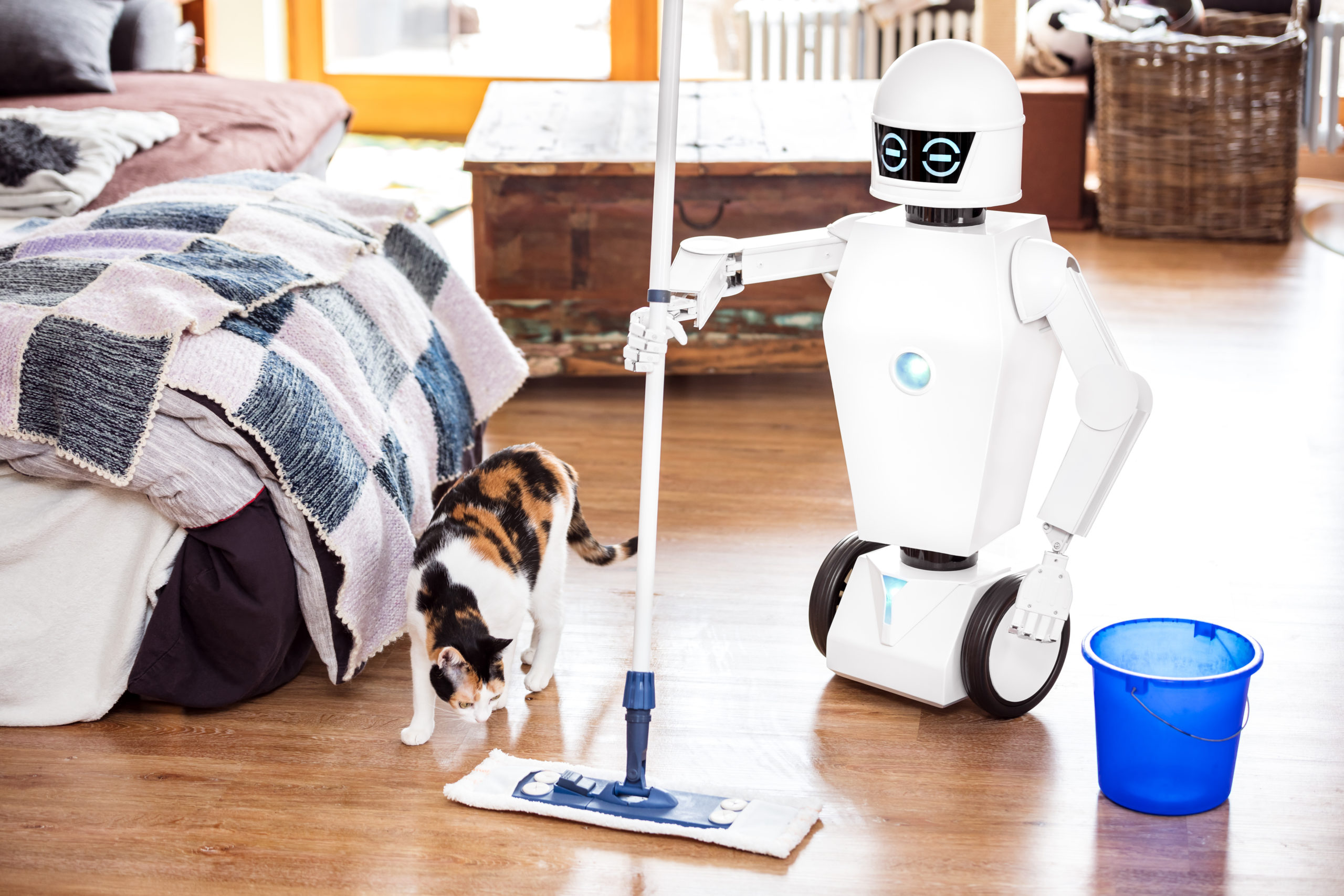 Hound Konsekvent Fremme Are Service Robotics the Future for Home Robots? - NAI Group